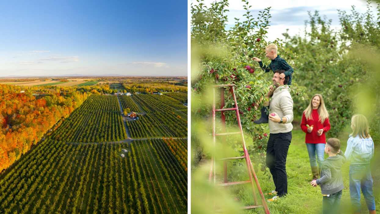 5 activités familiales incontournables pour profiter des couleurs et saveurs de la Montérégie