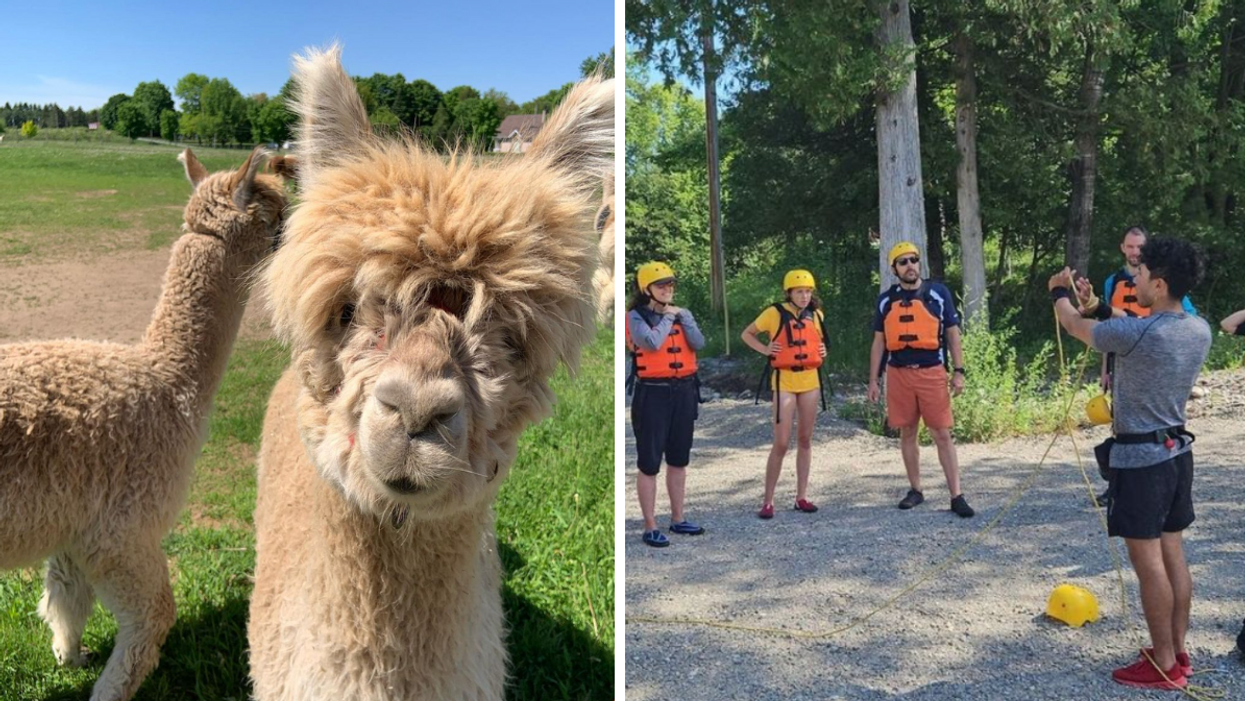 5 expériences incontournables et gratuites pour découvrir l'industrie du tourisme en avril