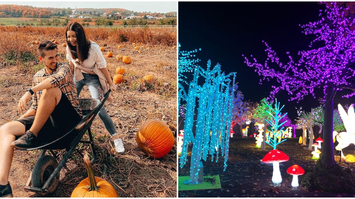 7 idées d'activités en zone rouge à Montréal et ses alentours