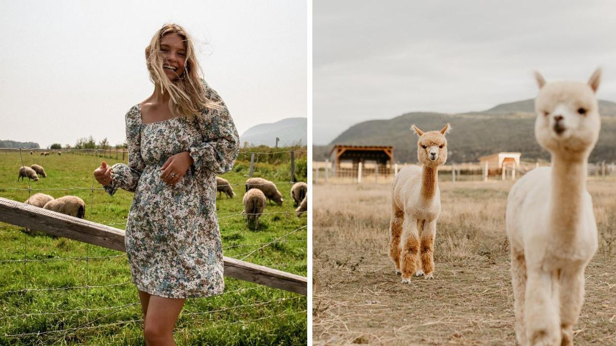 7 raisons de partir travailler dans Charlevoix et vivre une expérience excitante