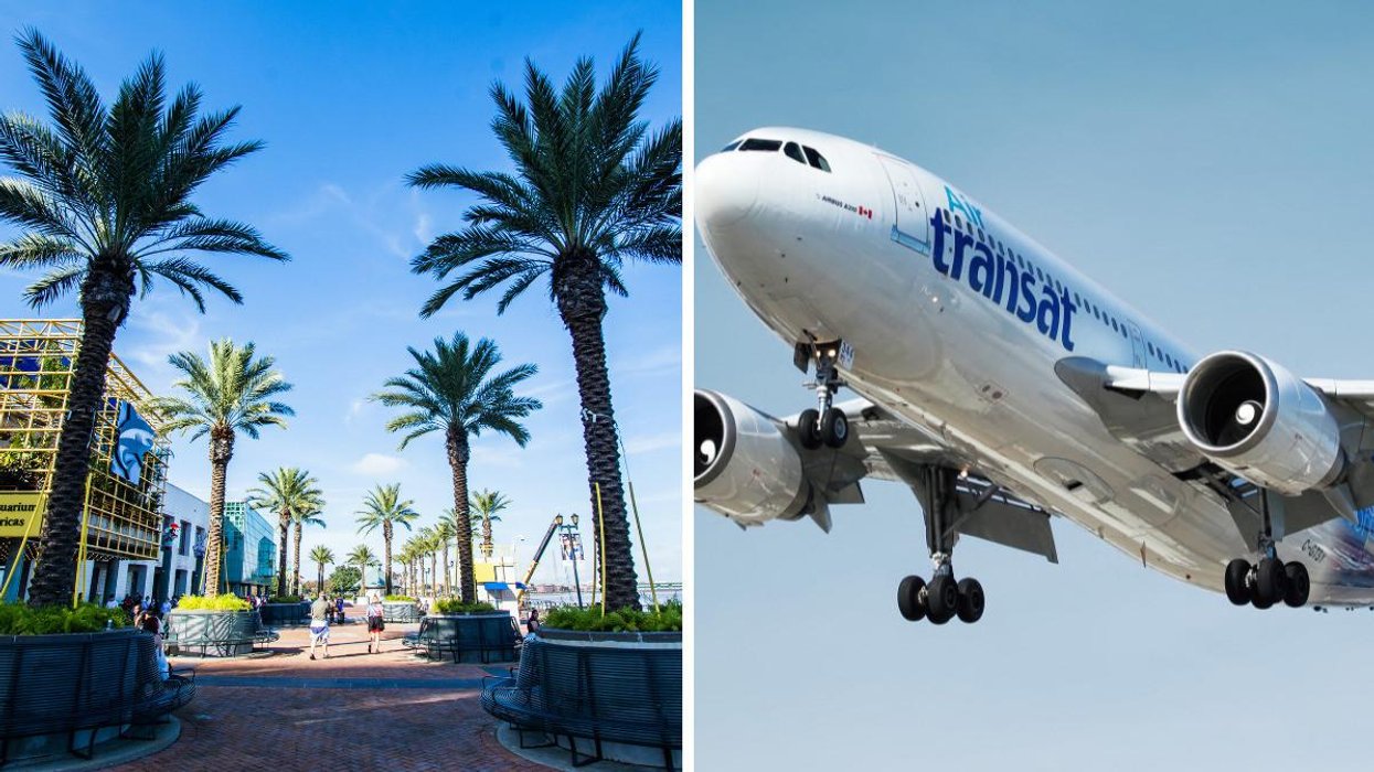 Air Transat annonce des vols vers le Sud à moins de 300 $ pour le Vendredi fou