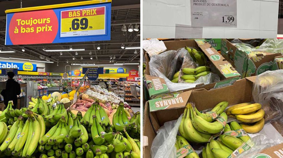 Bananes en vente au Maxi. Droite : Bananes en vente au Costco.