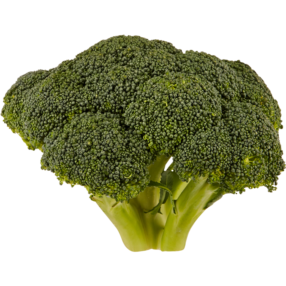 Brocoli sur fond blanc.