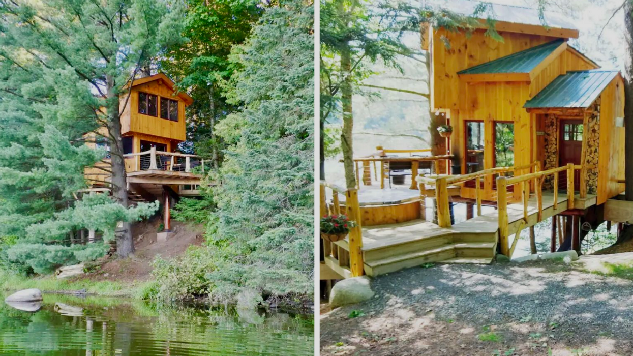 Cabane dans les arbres au Vermont.
