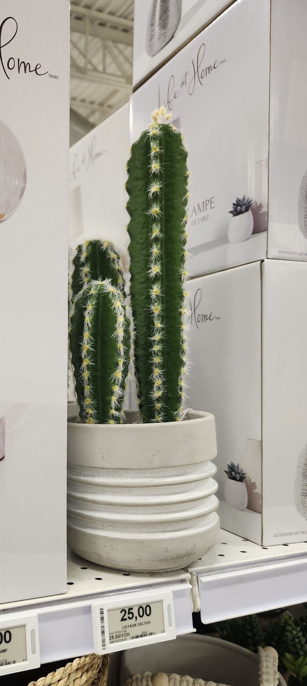 Cactus artificiel avec vase ciment.