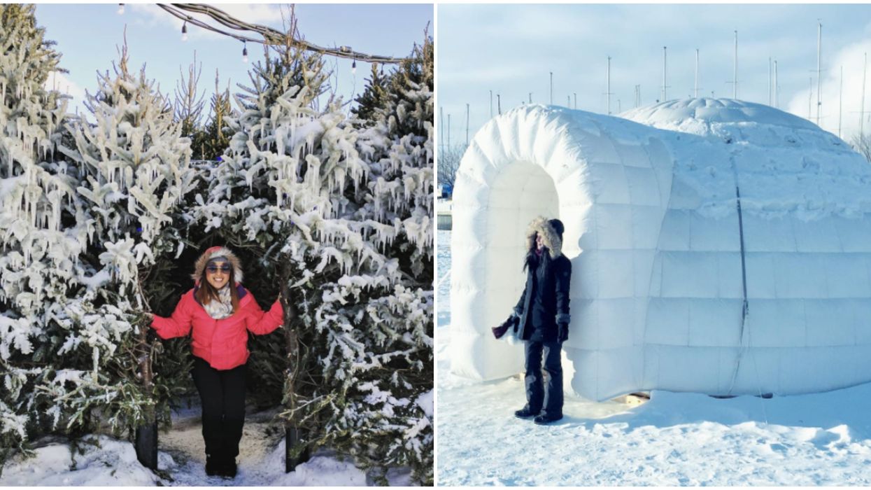Carnaval de Québec : le village Nordik du port de Québec de retour le 4 février