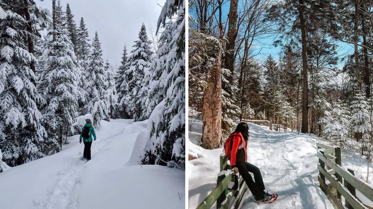Ce parc à 1h30 de Laval est l’endroit parfait pour te promener dans un «Winter Wonderland»