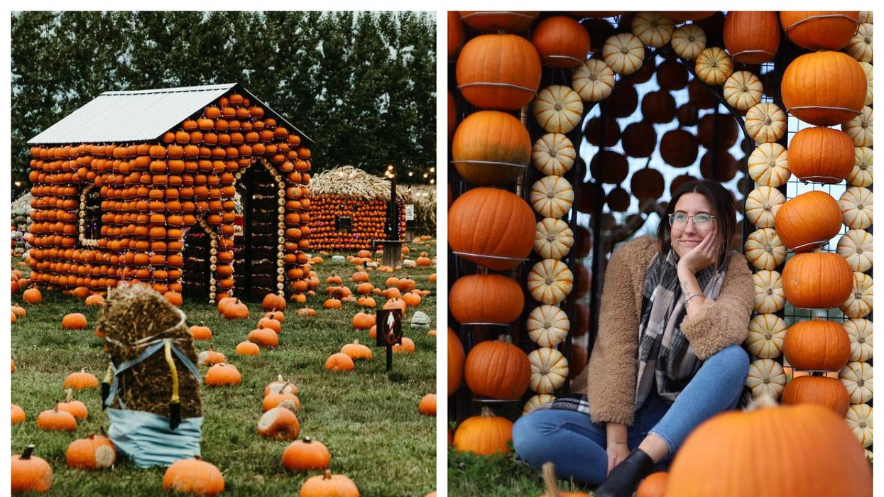 Ce village de citrouilles situé à 1 h de Montréal est le seul en son genre au Canada