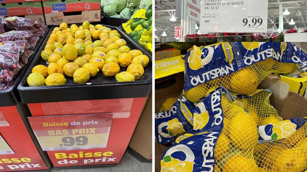 Citrons en vente au Maxi. Droite : Citrons en vente au Costco.
