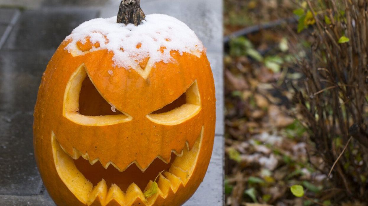 Citrouille d'Halloween enneigée.