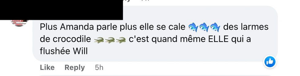 Commentaire Facebook.