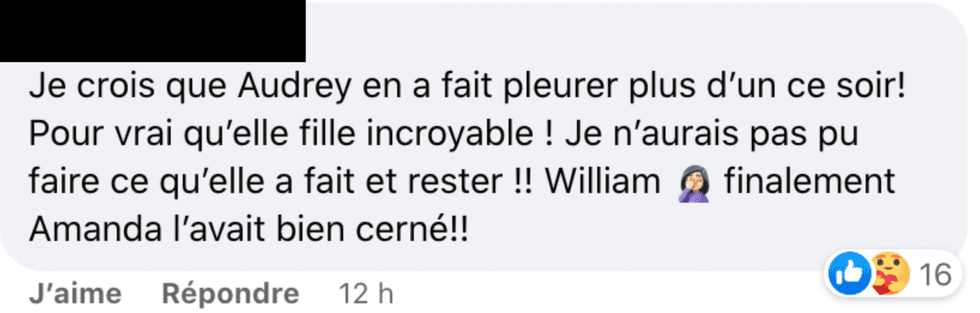 Commentaire Facebook.