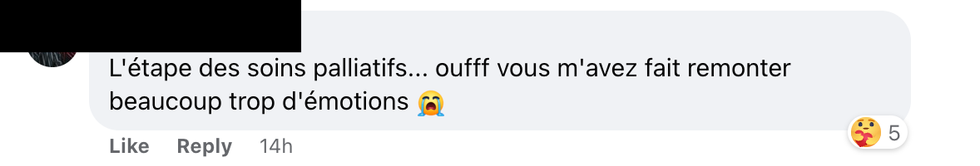 Commentaire sur Facebook.