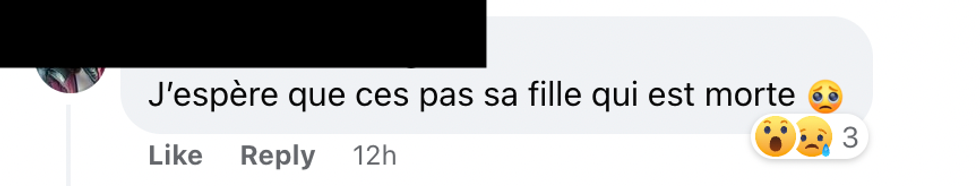 Commentaire sur Facebook.