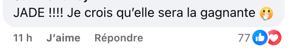 Commentaire sur la page Facebook de La Voix.