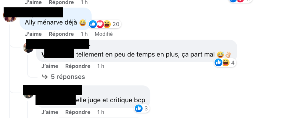 Commentaires sur la page Facebook d'Occupation Double.