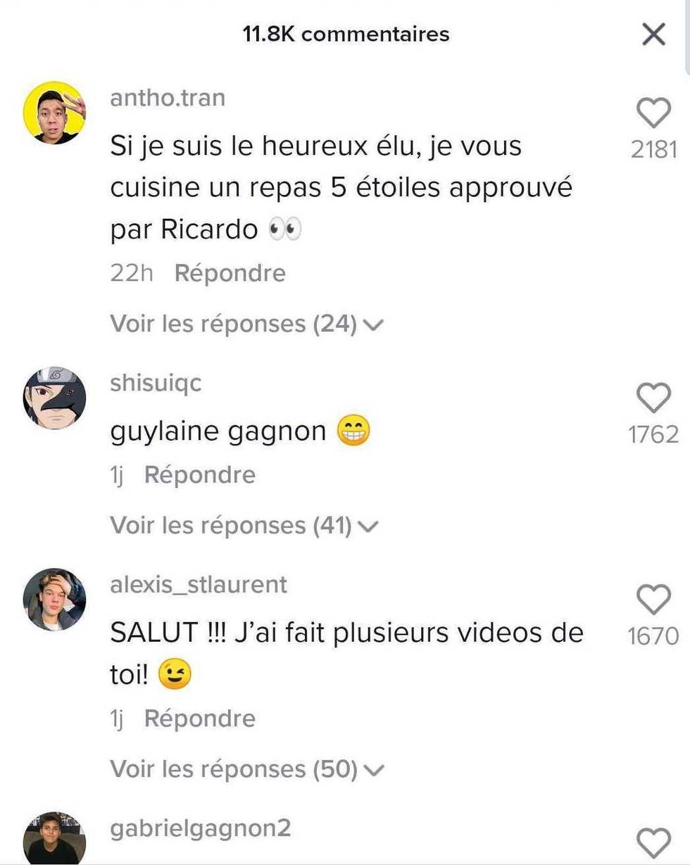 Commentaires sur un TikTok de Fran\u00e7ois Legault.