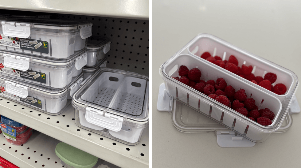 Contenant alimentaire sur les tablettes du Dollarama. Droite : contenant alimentaire avec framboises.