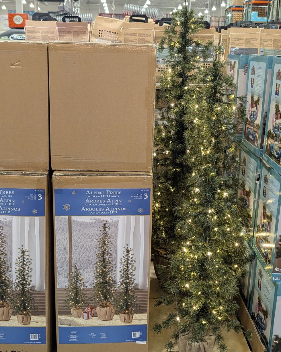 Des bo\u00eetes et de petits arbres de No\u00ebl lumineux vendus dans le rayon des articles saisonniers chez Costco.