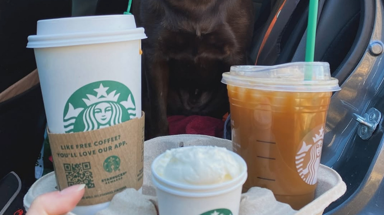 Des boissons Starbucks dans un cabaret de transport.