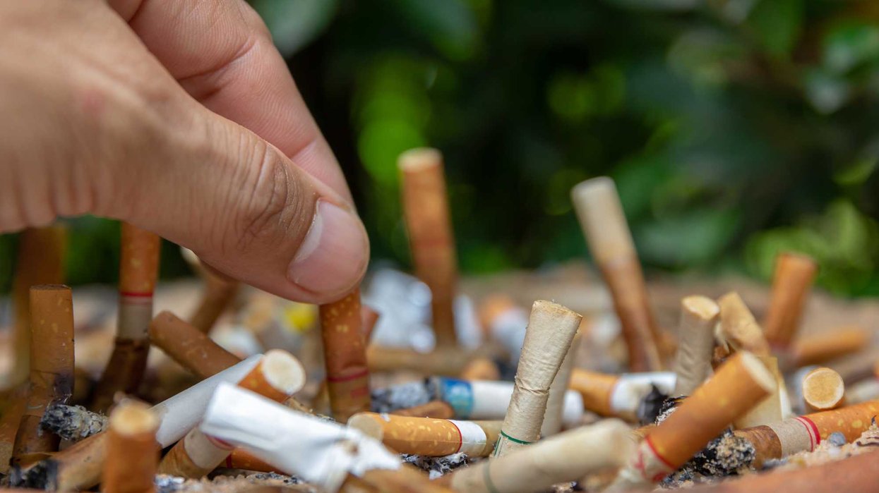 Des mégots de cigarettes.