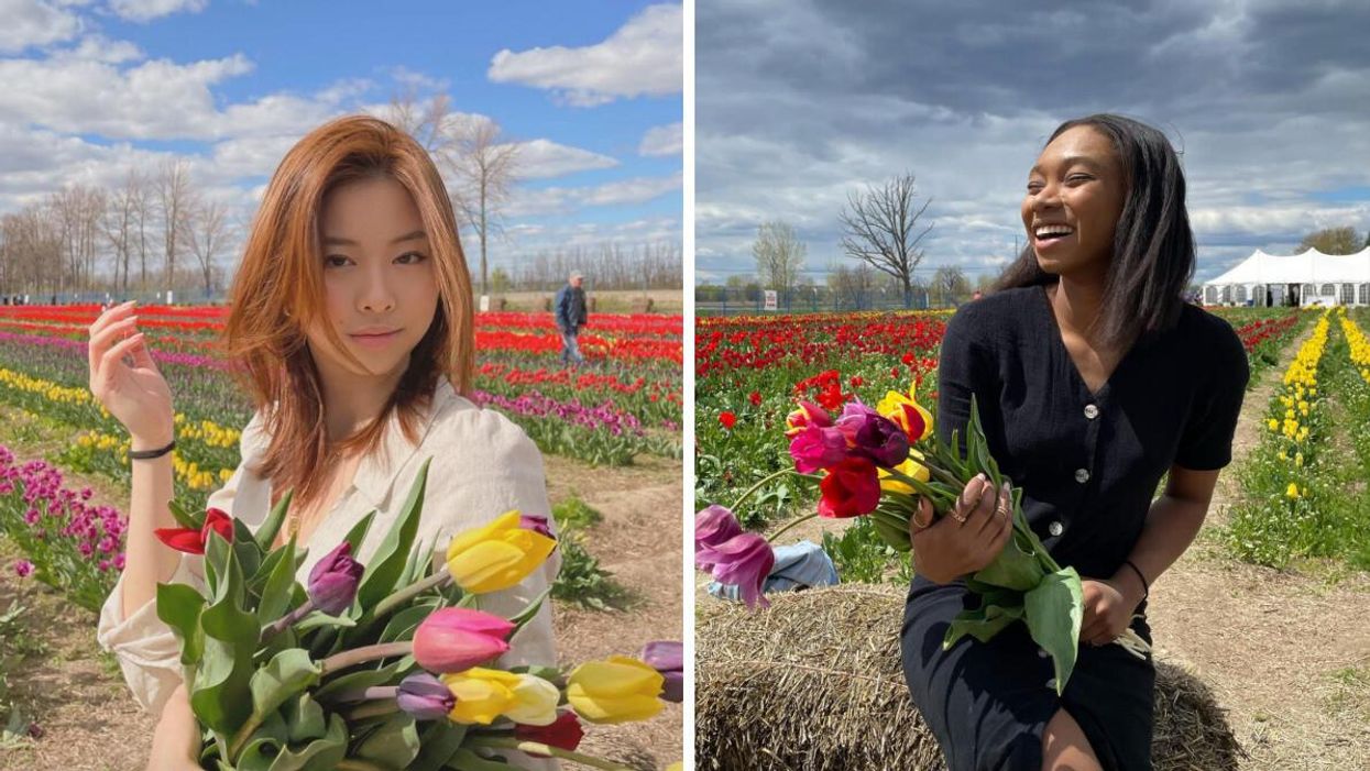 Des personnes posent avec des bouquets de fleurs dans un champs de tulipes.