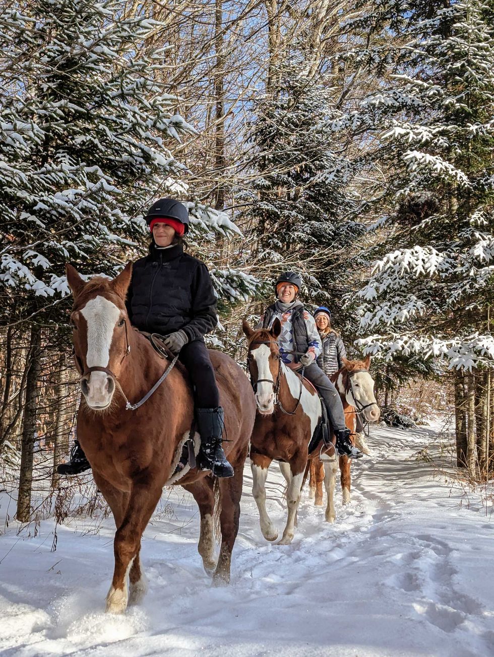Des personnes \u00e0 cheval dans la neige.