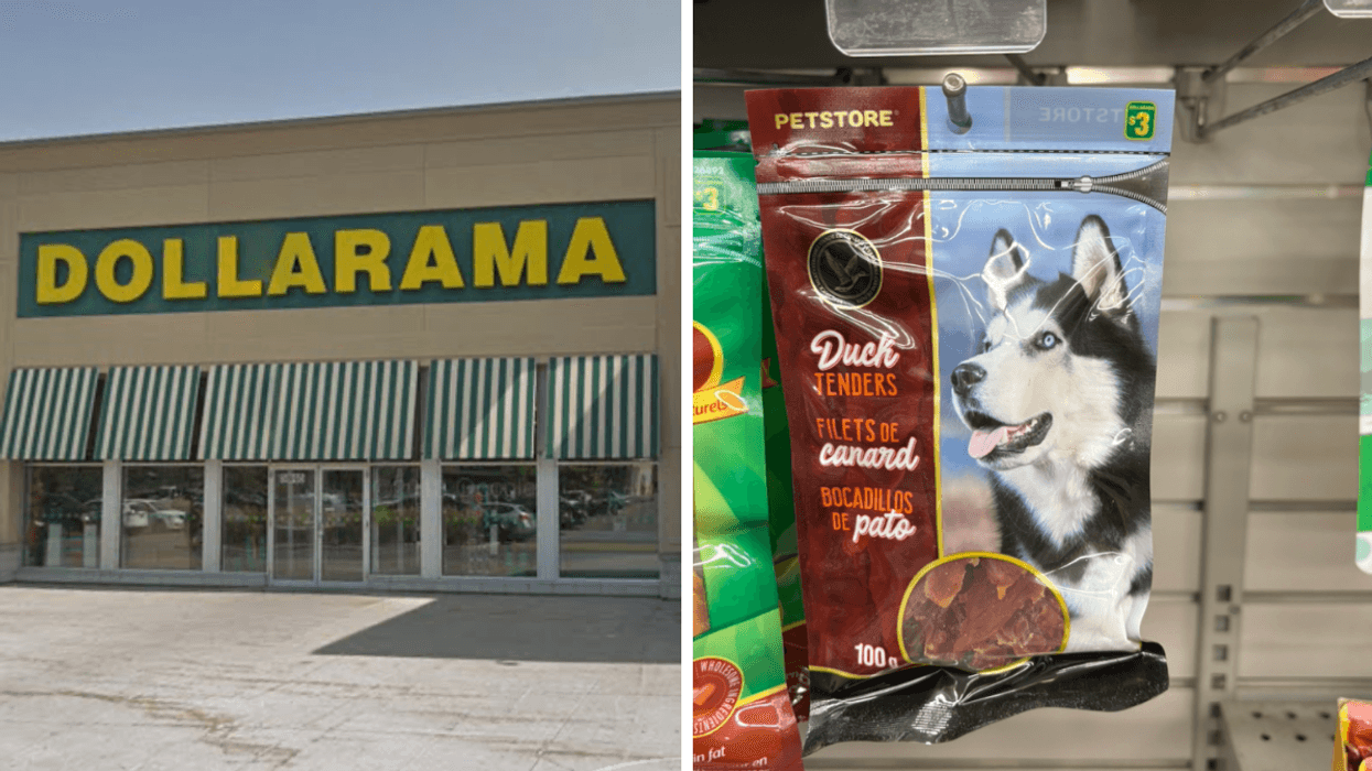 Devanture du Dollarama. Droite : filets de canard pour chien.