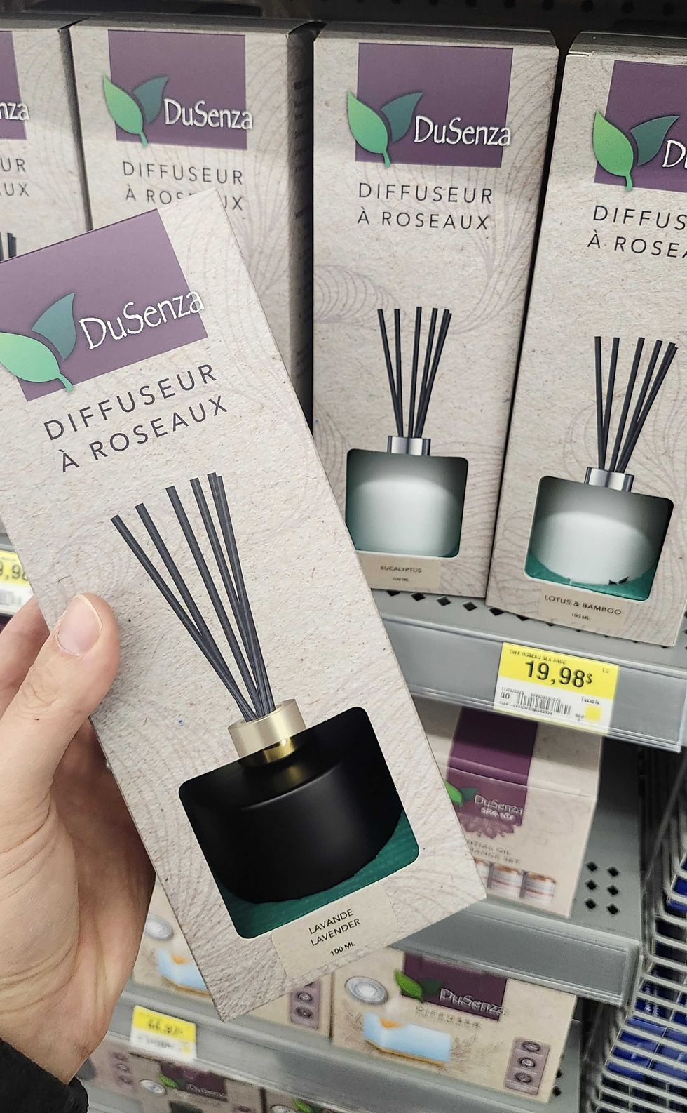 Diffuseur \u00e0 roseaux.