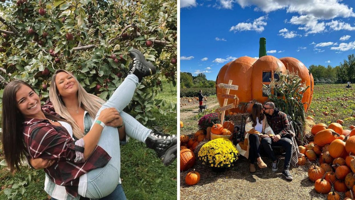 Domaine Lafrance. Droite : Ferme Marineau.