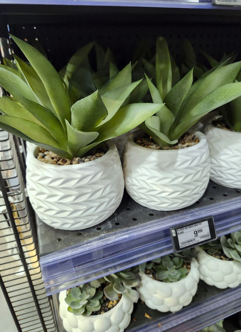 Dracaena artificiel.