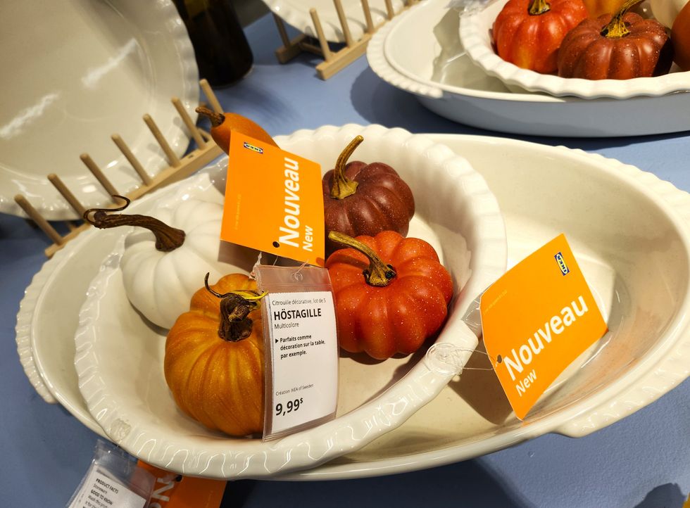 Ensemble de cinq citrouilles d\u00e9coratives color\u00e9es.