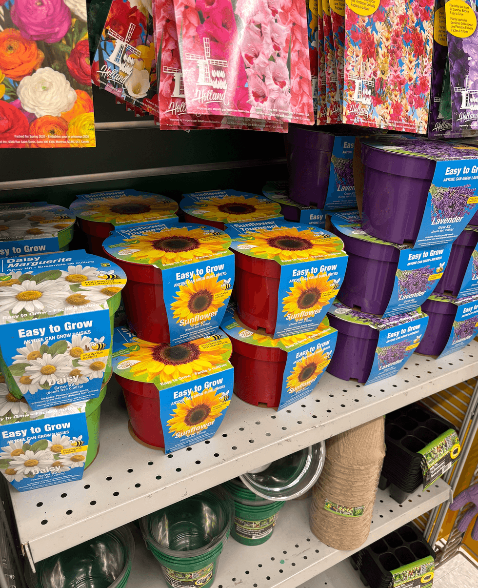 Ensemble de culture sur les tablettes du Dollarama.