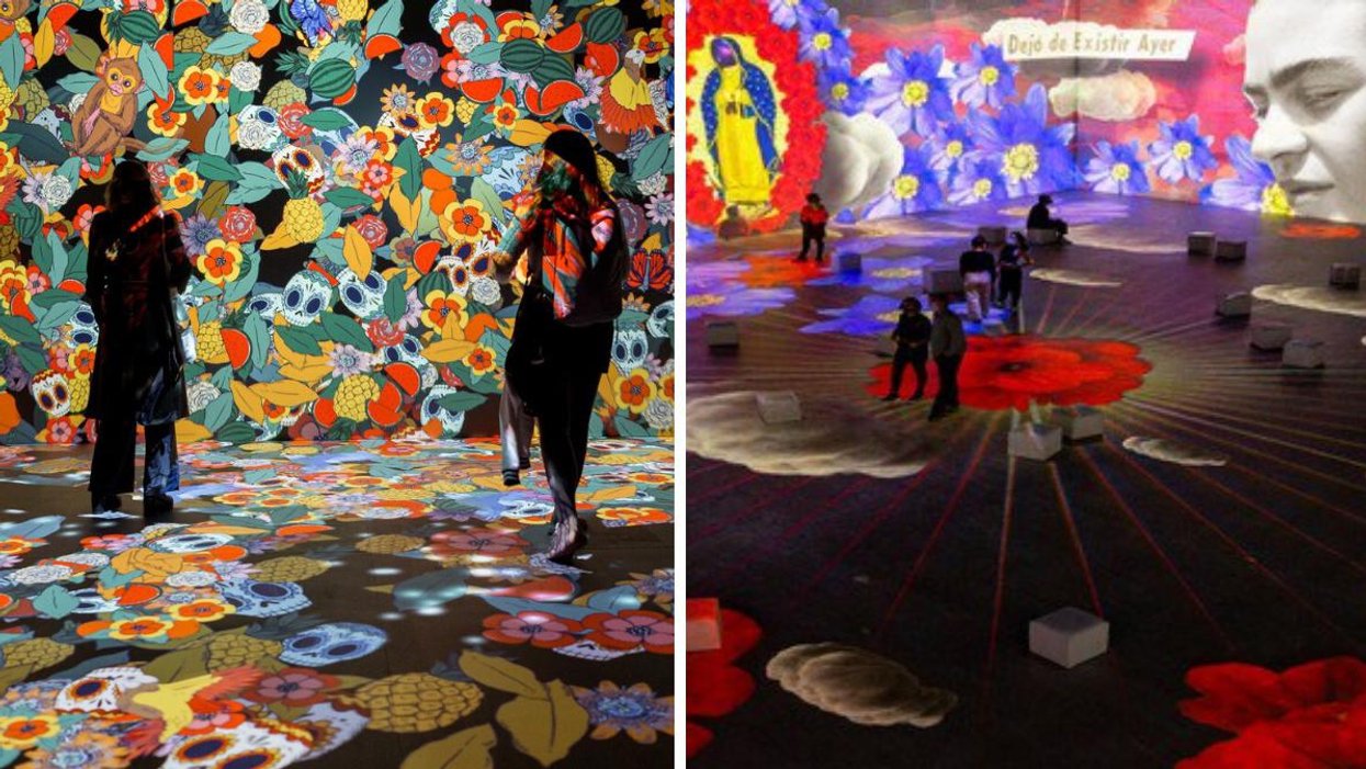 Exposition Frida Khalo, la vie d’une icône, Montréal.