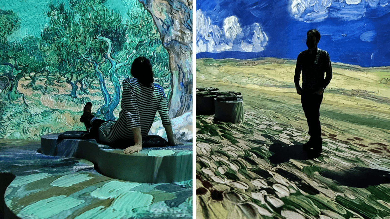 Exposition Van Gogh Distorsion.