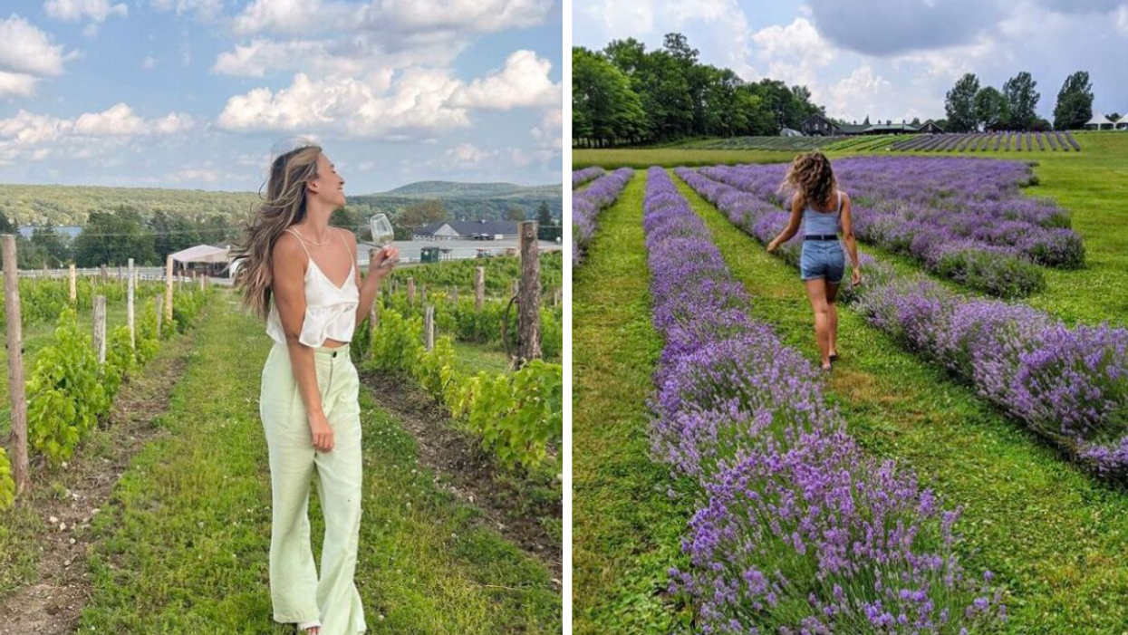 Femme au vignoble le Cep d'argent. Droite : Femme chez Bleu Lavande.