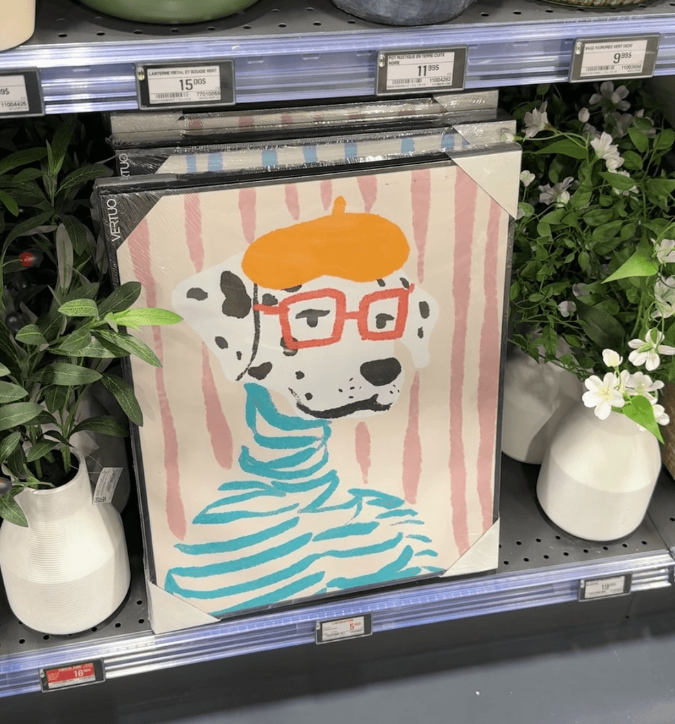 Grand cadre color\u00e9 repr\u00e9sentant un chien avec lunettes rouges et b\u00e9ret orange sur fond ray\u00e9 rose au Canac.