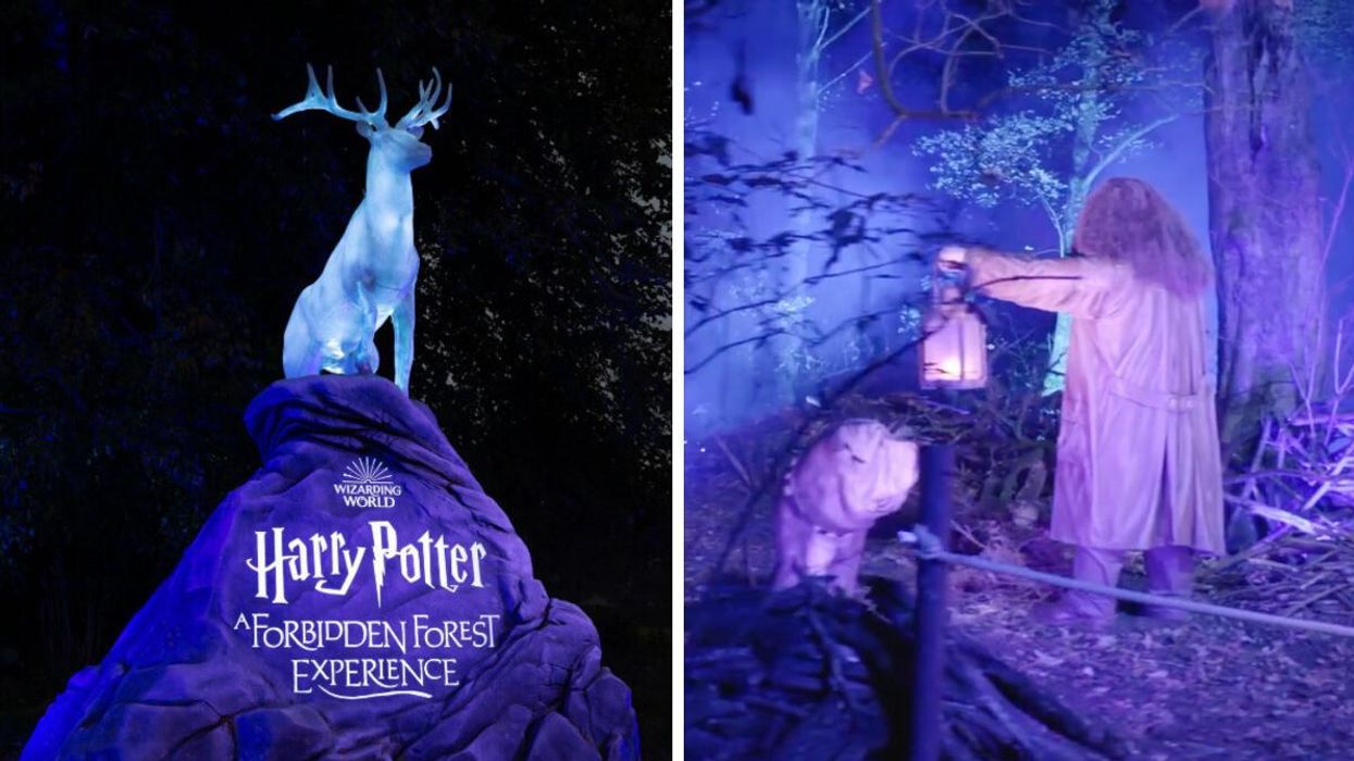 Harry Potter : A Forbidden Forest Experience à New York.