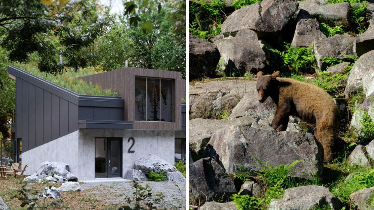 Hébergements du parc Oméga. Droite : Ours au parc Oméga.