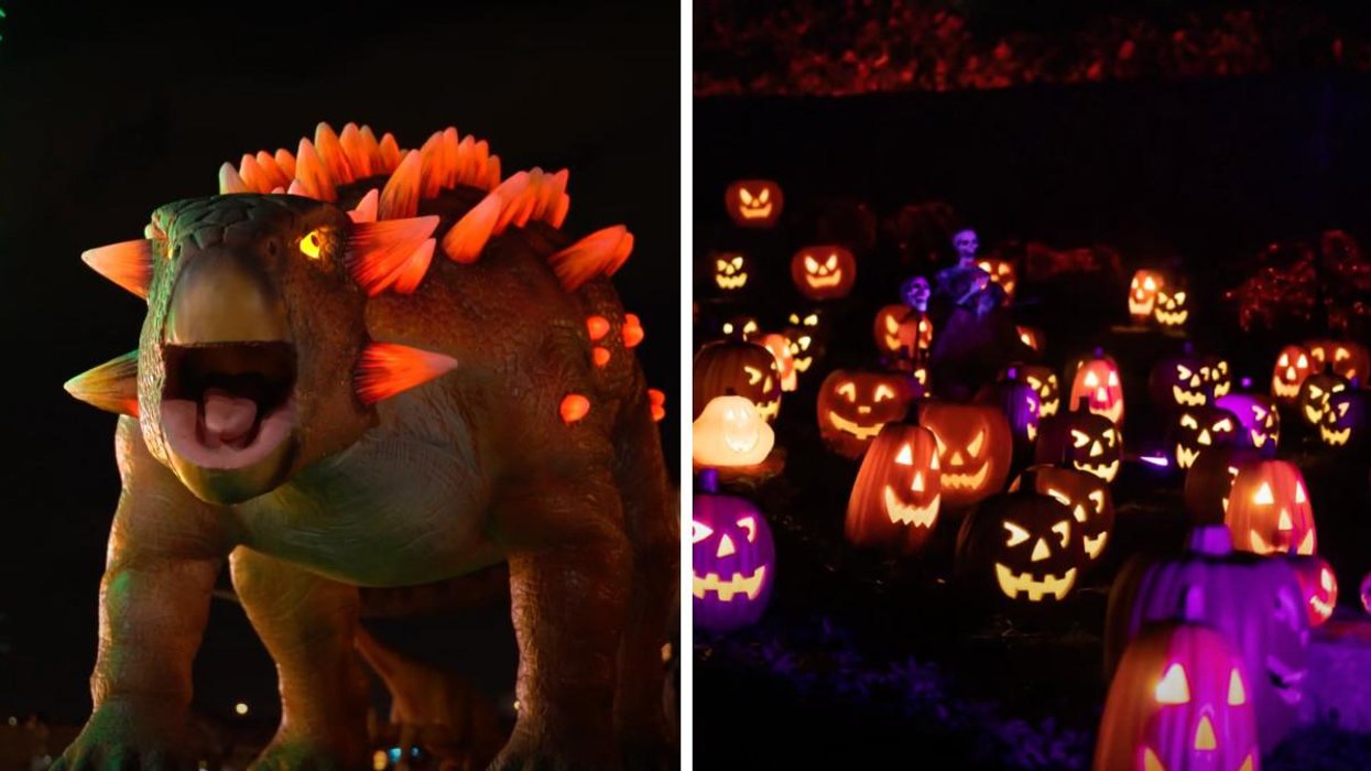 Illumi Laval aura un spécial Halloween et il y a une section avec 50 dinosaures géants