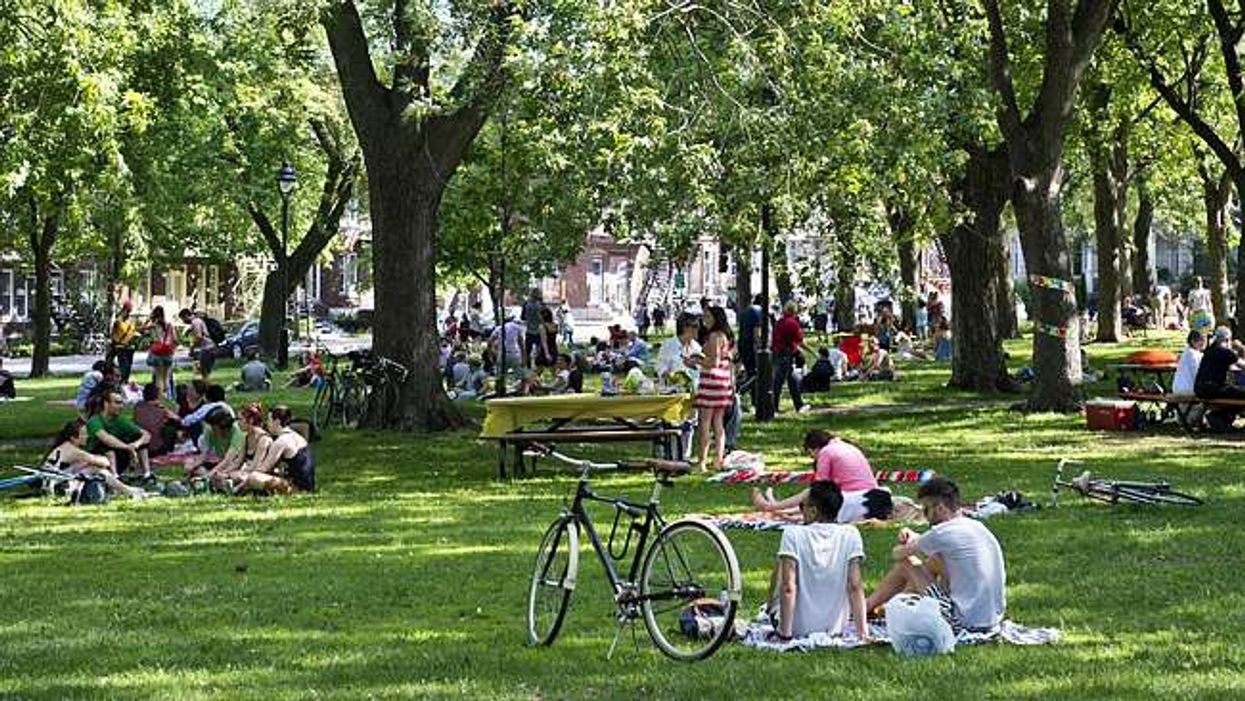 5 idées de repas pour tes pique-niques près du parc Laurier