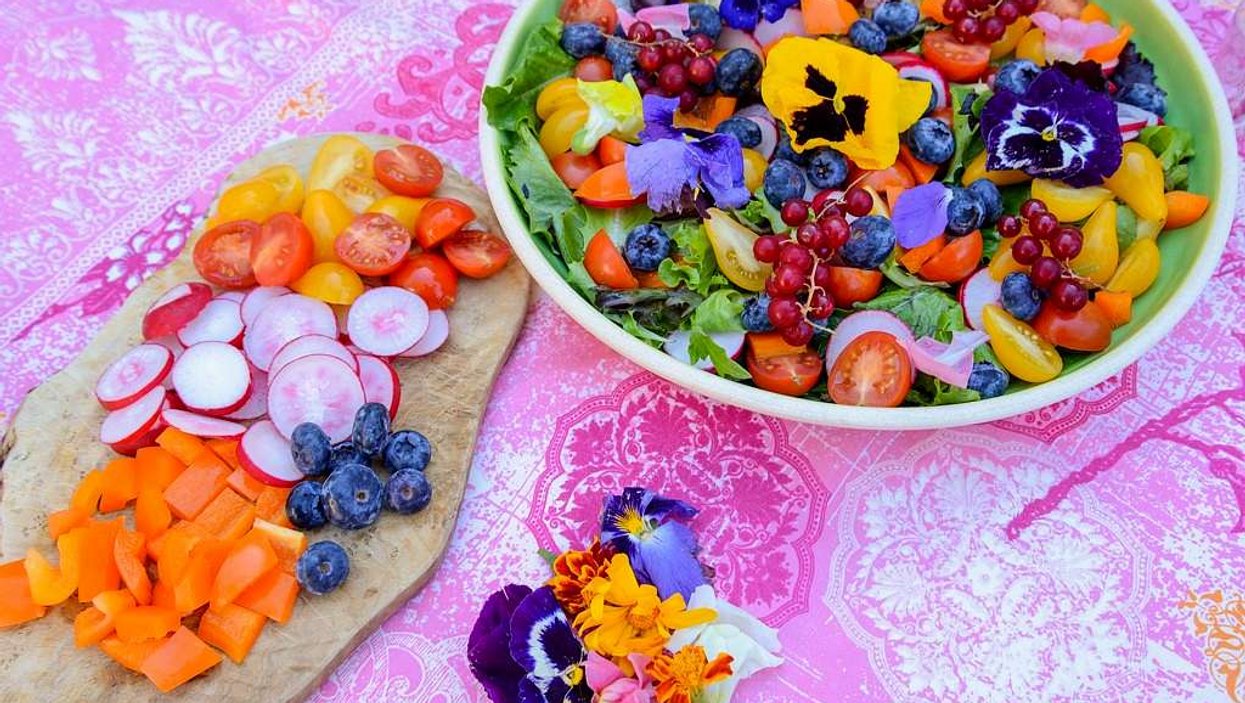 7 délicieuses recettes de salades pour varier ton menu santé