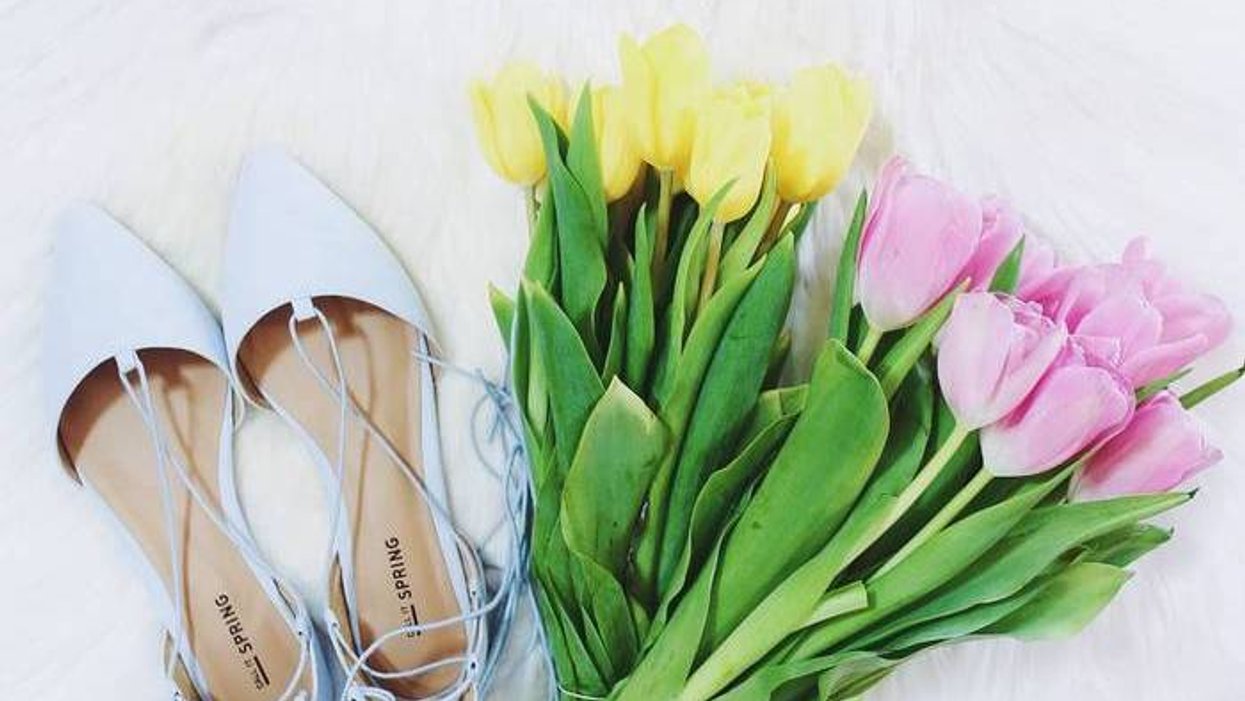 La marque Spring lance une collection Alice au pays des merveilles