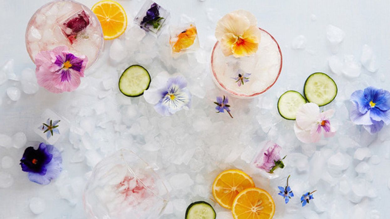 Un 5 à 7 floral à seulement 5$ aura lieu la semaine prochaine à Montréal