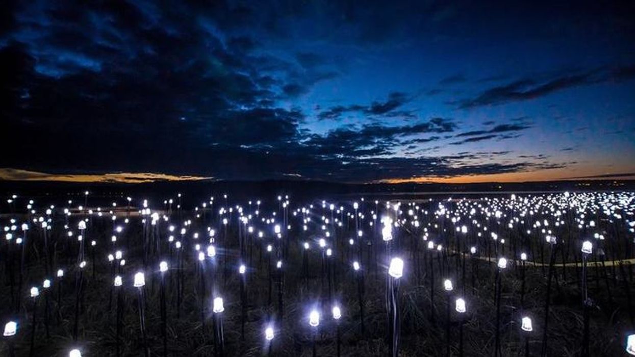 Le sentier le plus magique et fantastique du Québec que tu dois voir cet été