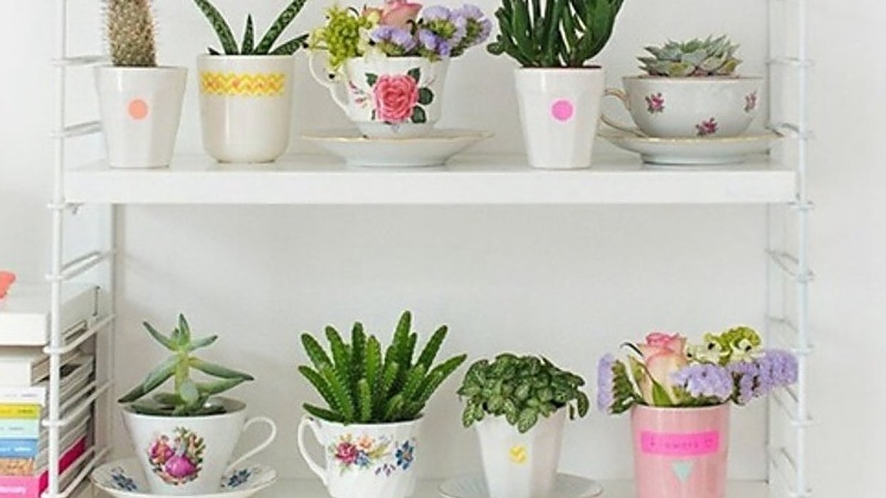 La vente de cactus et de déco vintage que tu ne veux pas manquer arrive cette semaine à Montréal!