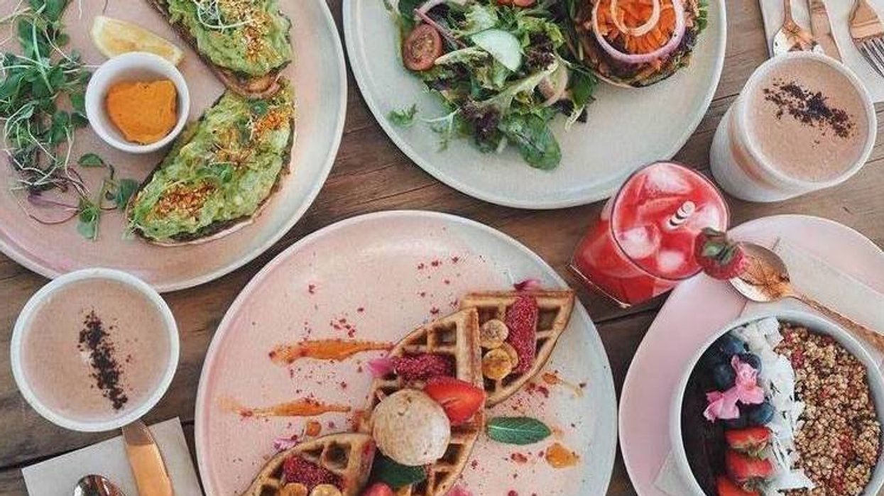 Ce nouveau restaurant vegan de Montréal offre le brunch et tu vas l'adorer!