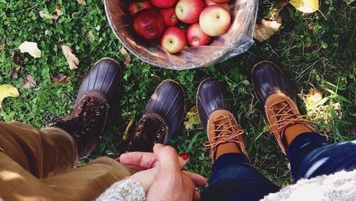 8 endroits à Québec pour (ne pas) cueillir des pommes avec ton chum cet automne