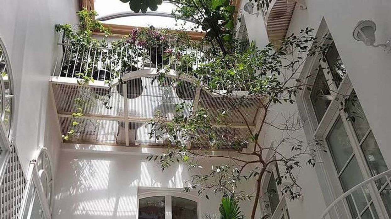 La plus belle terrasse intérieure se trouve dans ce nouveau restaurant de Montréal