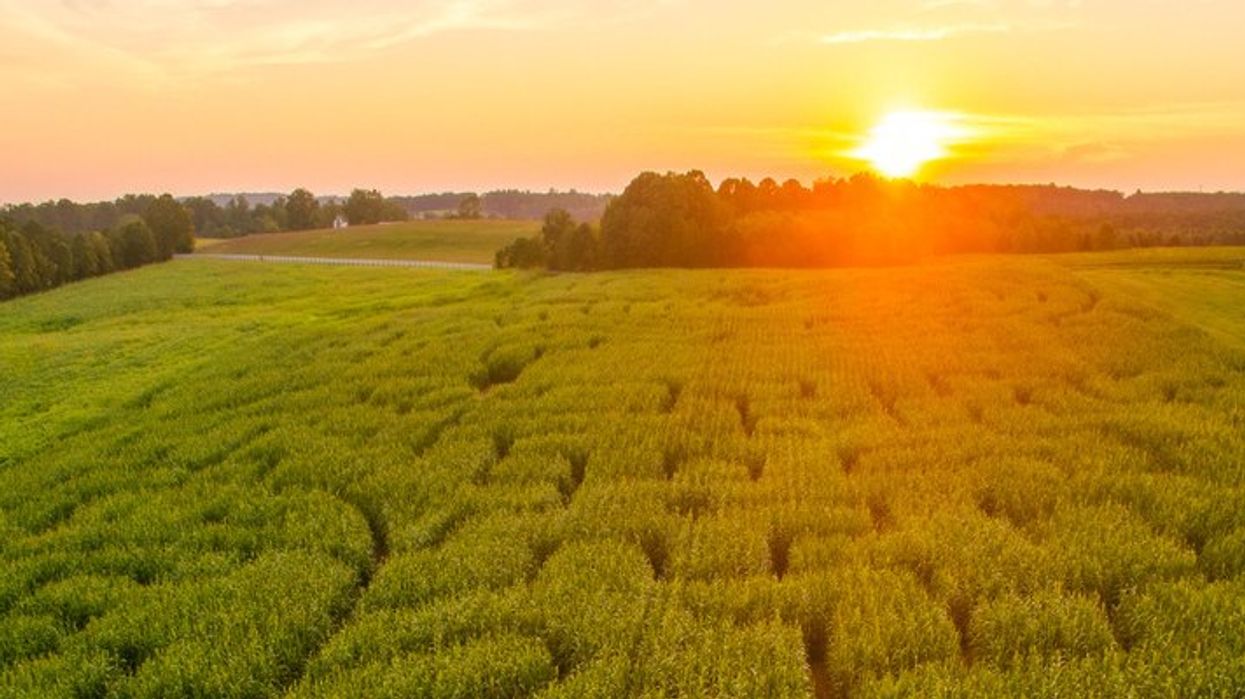 Ce labyrinthe extérieur géant a ouvert près de Montréal et t'es pas game d'y aller